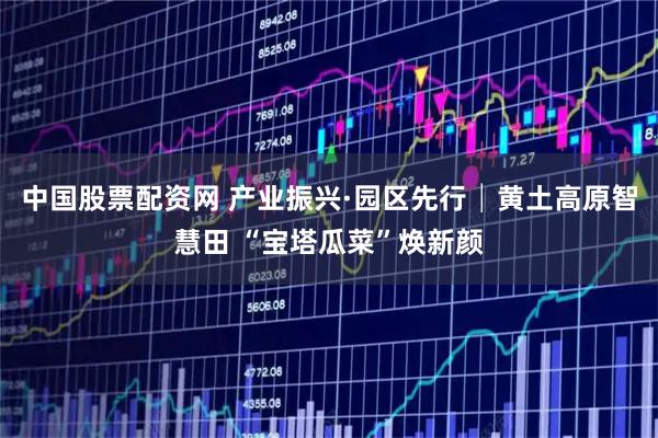 中国股票配资网 产业振兴·园区先行│黄土高原智慧田 “宝塔瓜菜”焕新颜