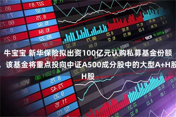 牛宝宝 新华保险拟出资100亿元认购私募基金份额，该基金将重点投向中证A500成分股中的大型A+H股