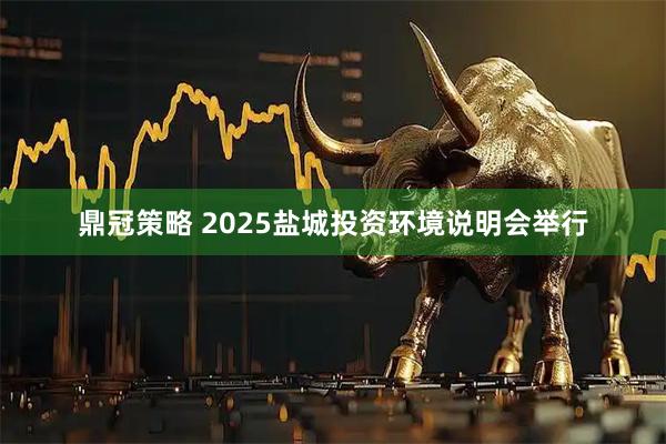鼎冠策略 2025盐城投资环境说明会举行
