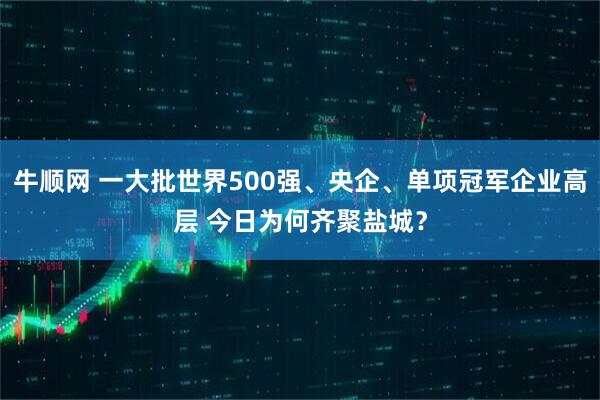 牛顺网 一大批世界500强、央企、单项冠军企业高层 今日为何齐聚盐城?