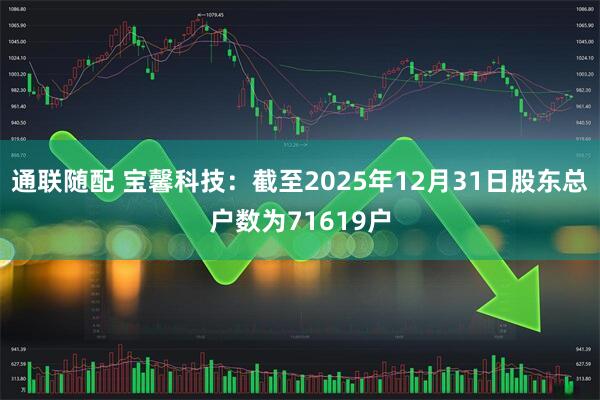 通联随配 宝馨科技：截至2025年12月31日股东总户数为71619户